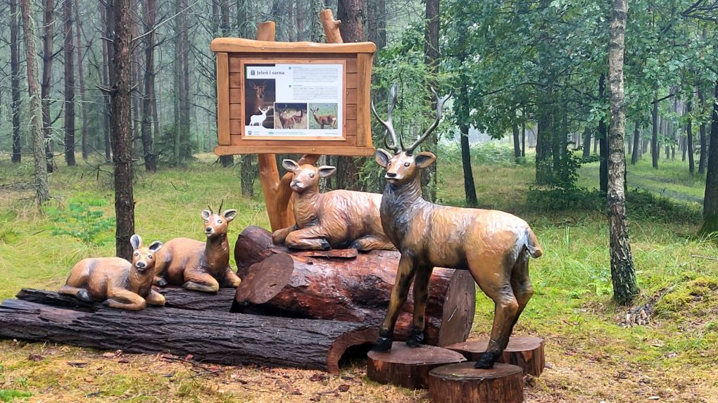 rzeźby zwierząt leśnych przy stanicy Myśliwskiej